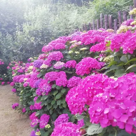 Pileas & Thetis Vakantiehuis